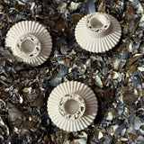 Bougeoir en terrazzo de coquillages