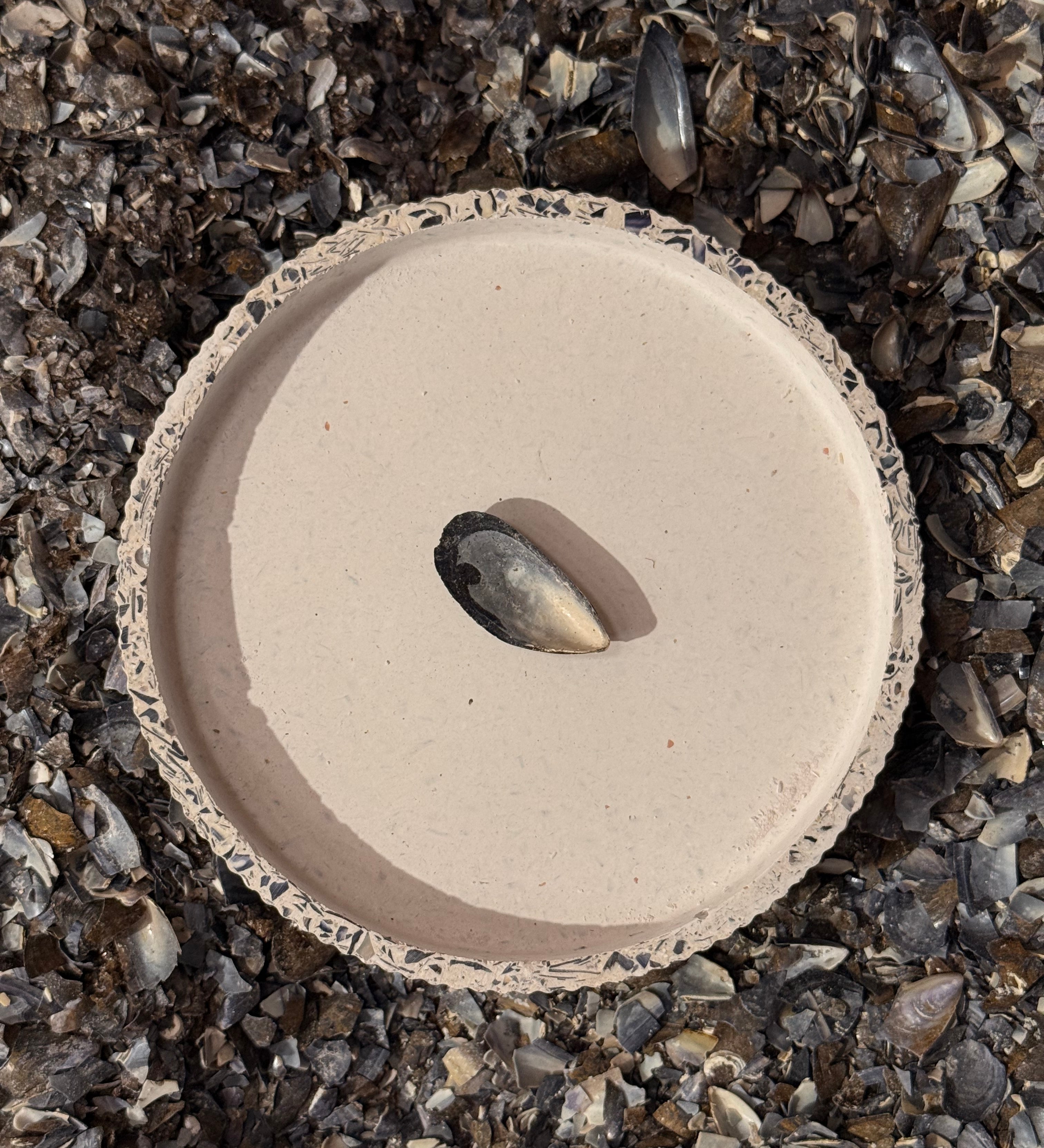 Vide-poche en terrazzo de coquillages
