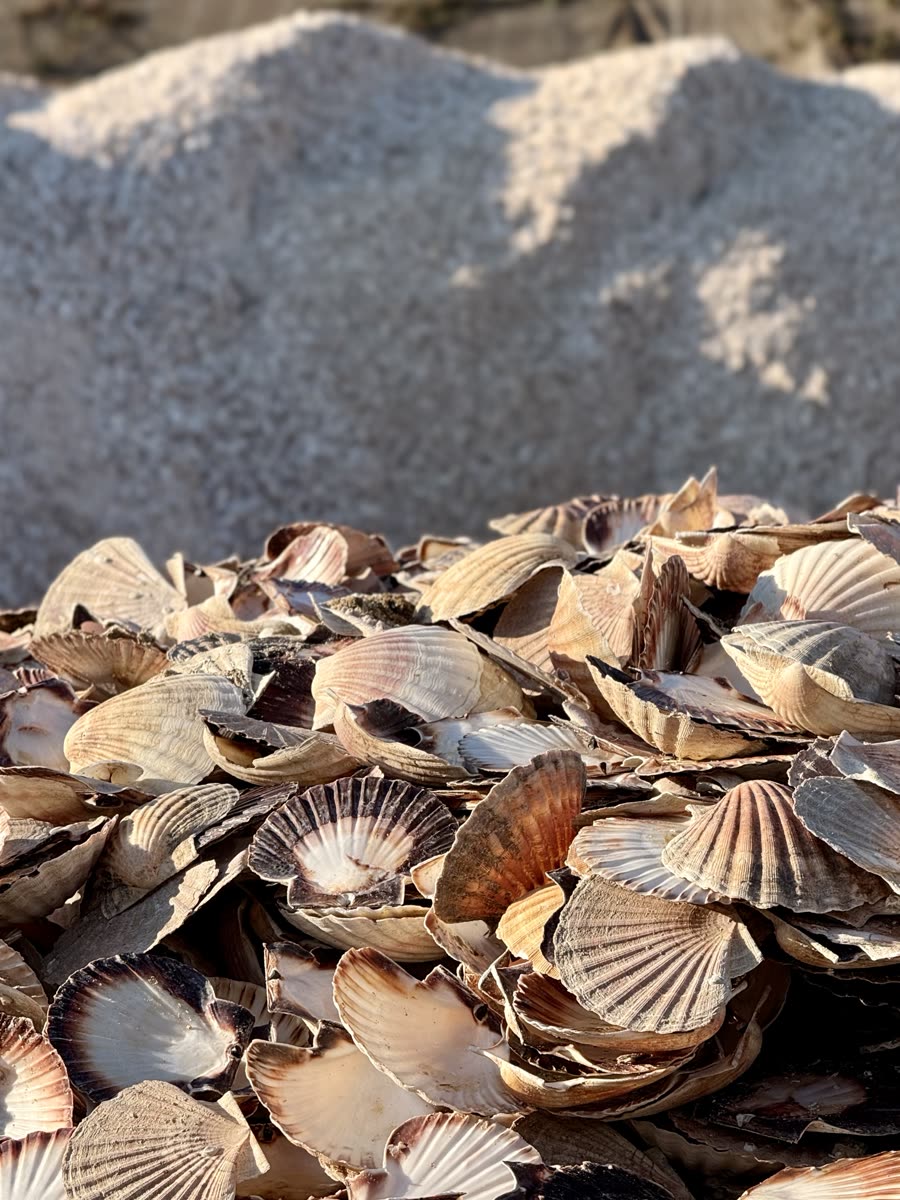 Collecte
